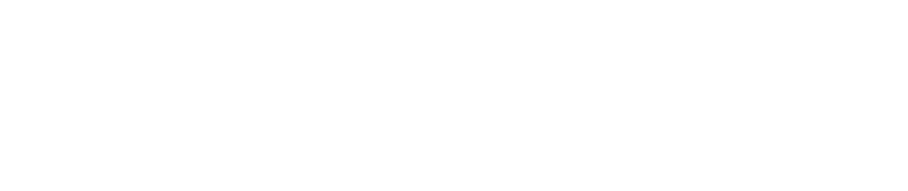 Fundo San Gabriel