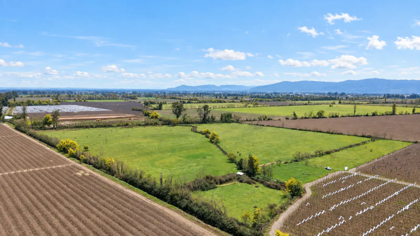 Vista aérea de campos agrícolas divididos por cercos vivos