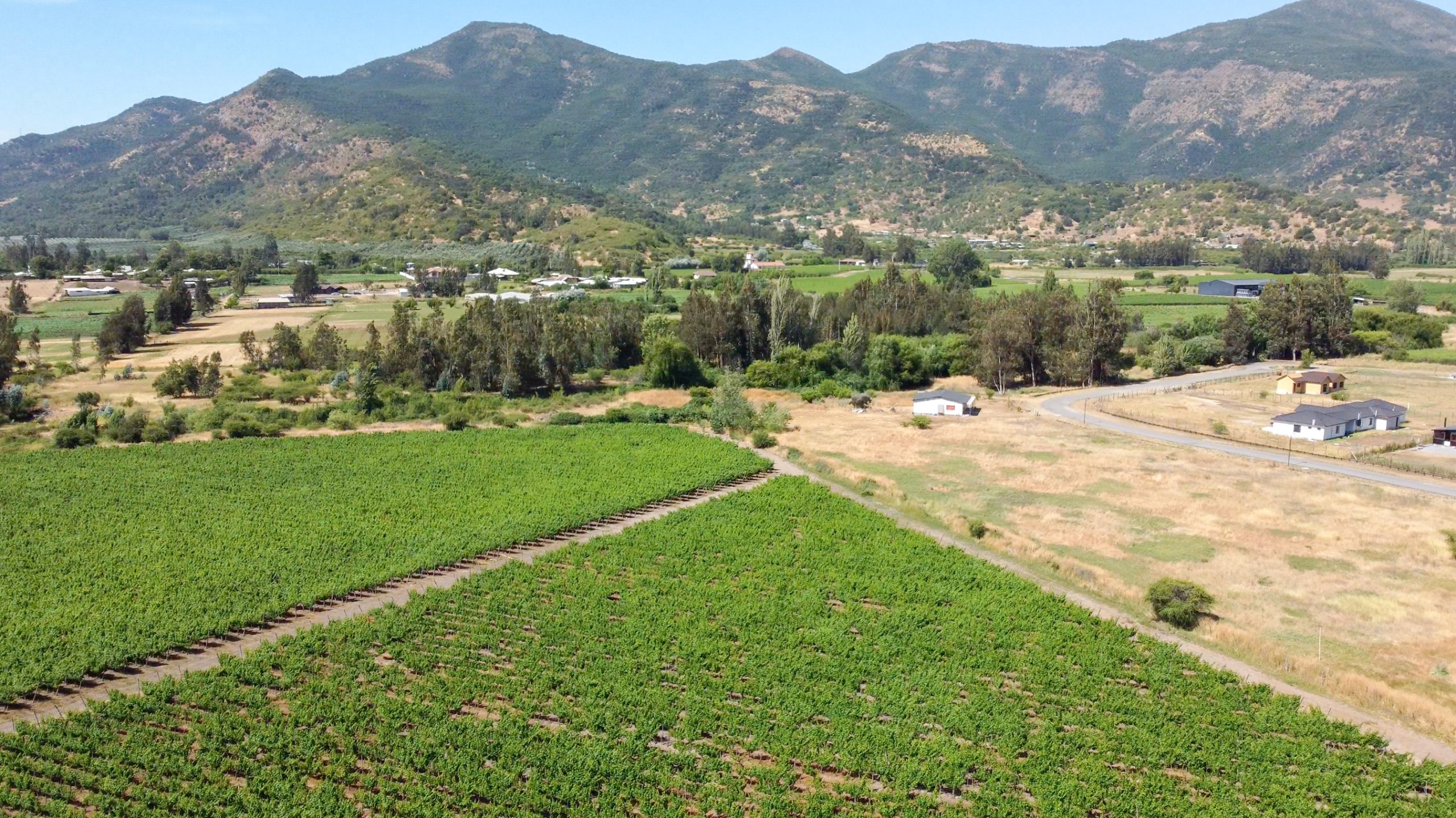 Vista Panorámica