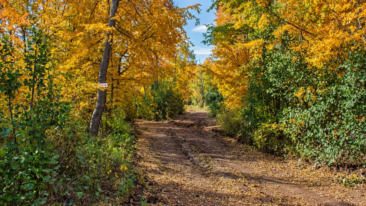 Sendero de acceso en otoño