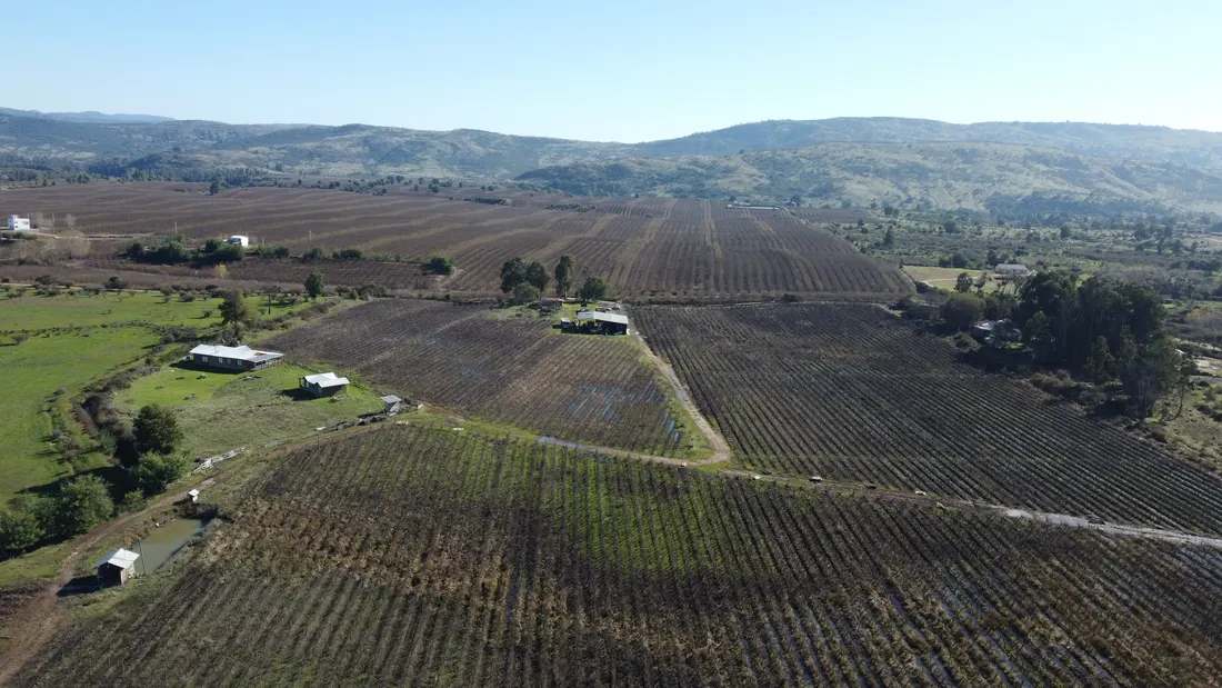 Entorno de huertos y cerros alrededor del proyecto