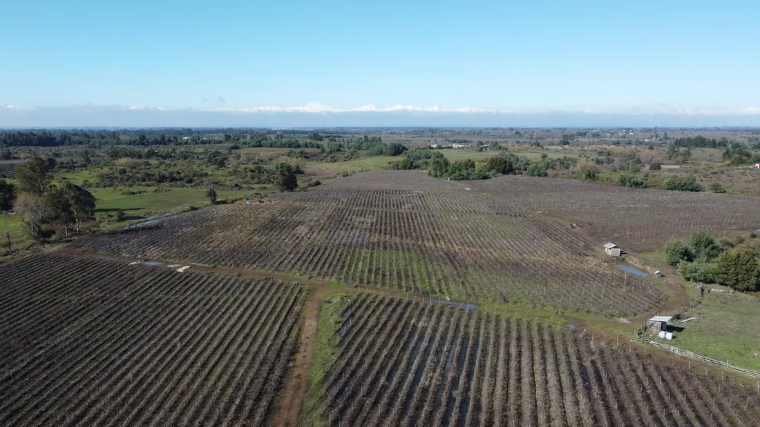 Vista aérea del Valle del Maule desde el proyecto