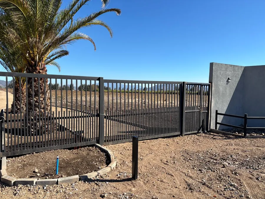 Portón de acceso con palmera de Casa Torreón