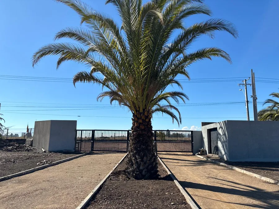 Acceso principal de Casa Torreón