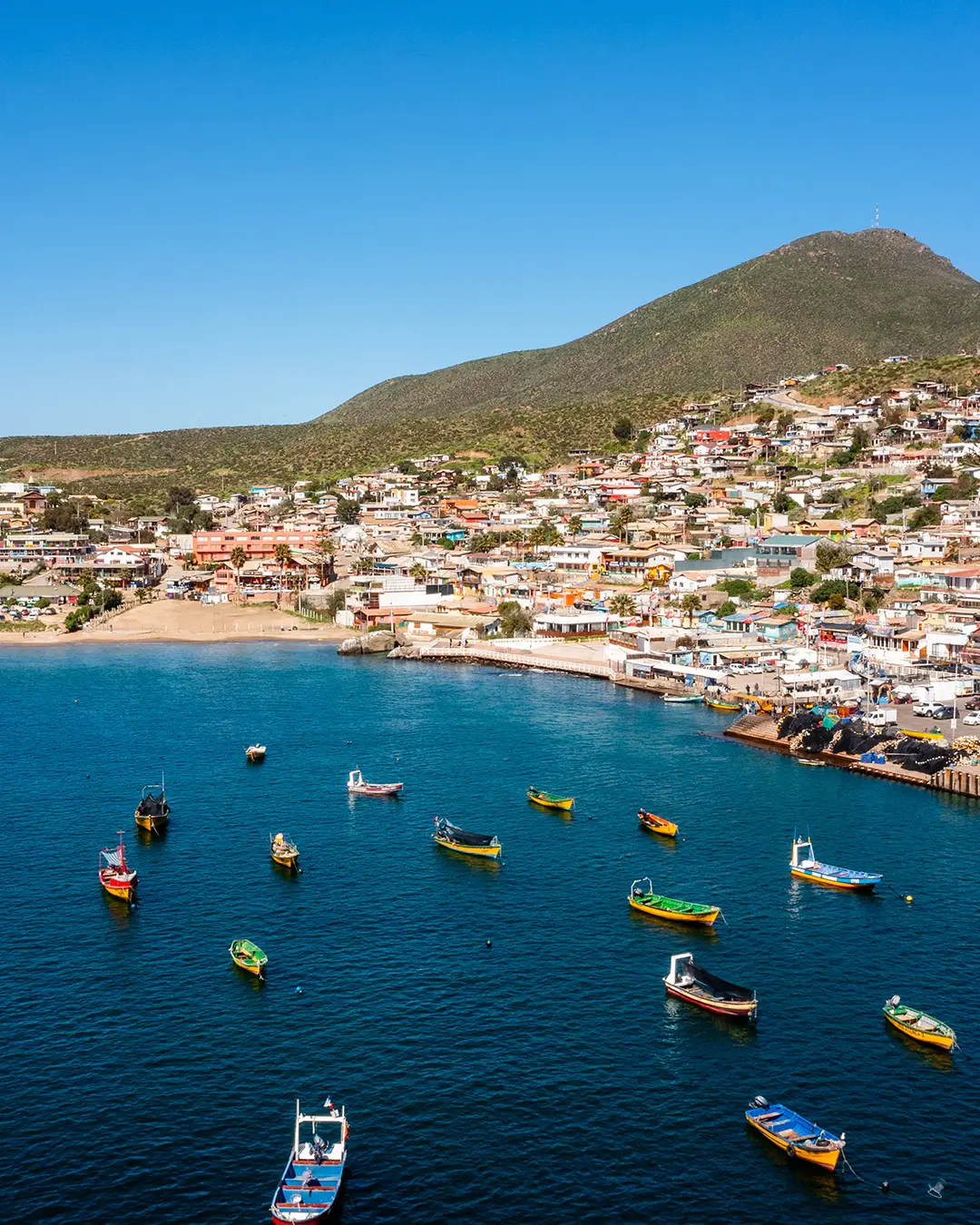 Guanaqueros